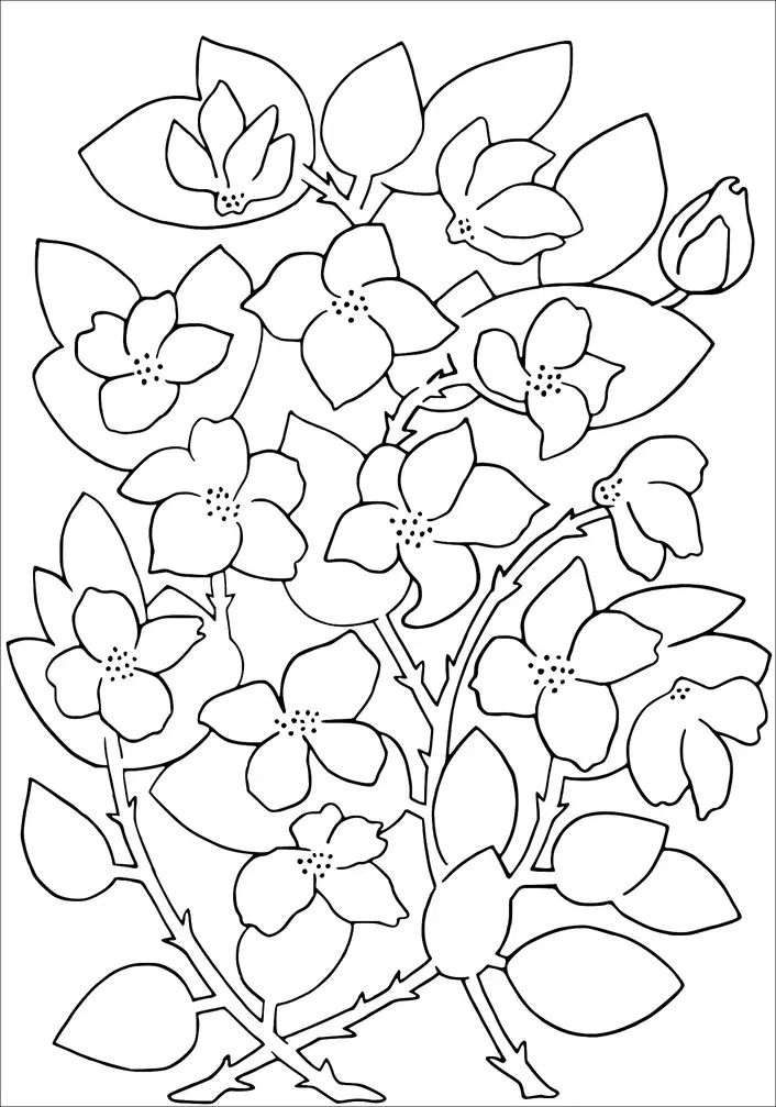 A collection of flowers with five petals each is depicted, along with several leaves and a bud. The flowers appear to be blooming, showcasing intricate petal details. The stems have small thorns. The overall arrangement is dense, with overlapping elements.