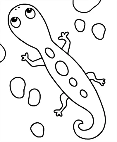 Una salamandra de estilo caricaturesco con grandes ojos está rodeada de piedras dispersas en el suelo. La salamandra tiene una cola larga y curvada y manchas distintivas en su espalda. Sus patas están estiradas, ya que parece estar en movimiento. Las piedras varían en tamaño y forma, creando un entorno natural para la criatura.