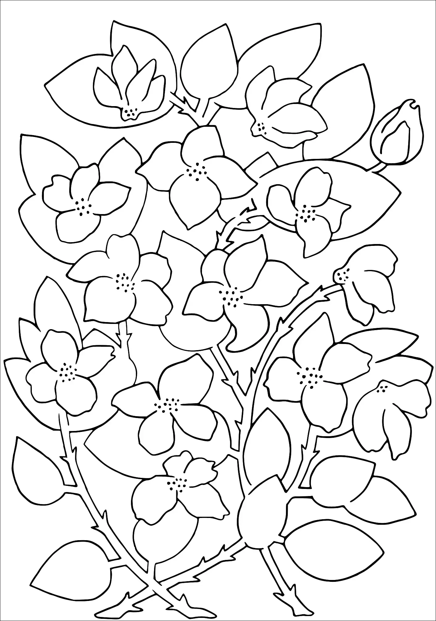 Coloring Page, full resolution