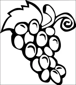 Um cacho de uvas com uma única folha grande e um caule encaracolado. As uvas estão densamente agrupadas e ligeiramente ovais. O design é ousado e fácil de reconhecer. O caule curva-se artisticamente, contribuindo para o apelo da imagem.